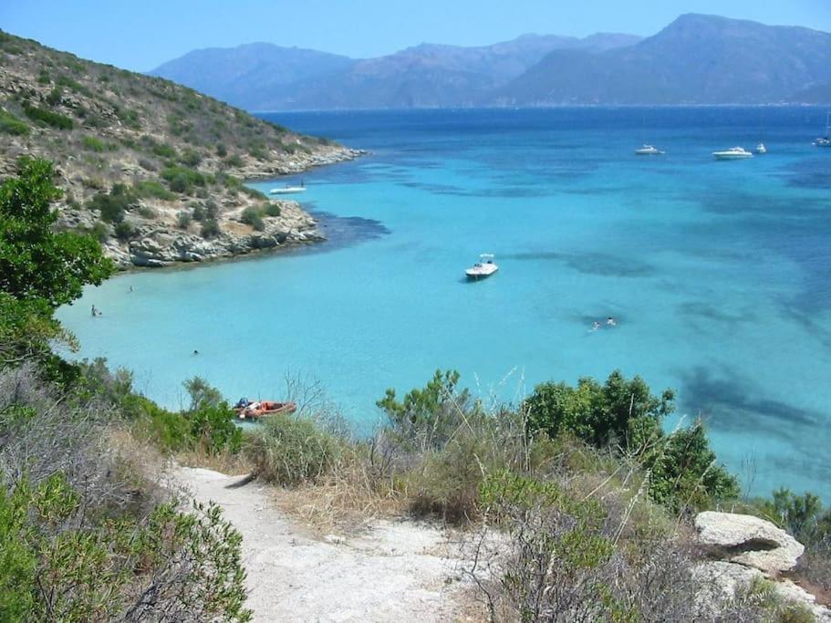 Studio Centre Ville Saint-Florent A 100M De La Mer 외부 사진
